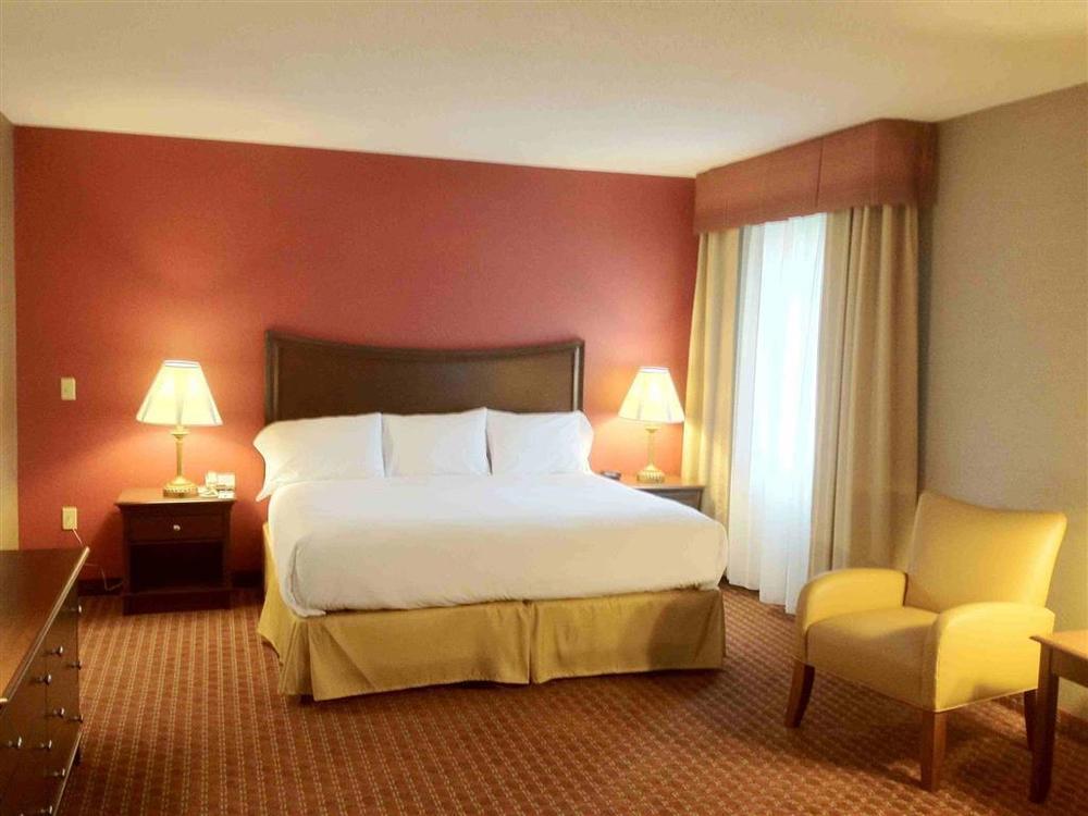 Owego Treadway Inn And Suites Værelse billede